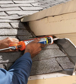 Roof Leaking Repair  in Camarillo